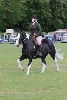 thornton-le-dale-gala showclass7acharity25-5-20176